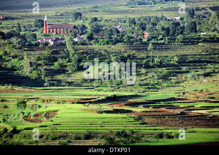 Madagascar, à l'intérieur des terres, vue sur les champs de riz Banque D'Images