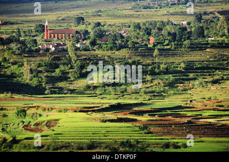 Madagascar, à l'intérieur des terres, vue sur les champs de riz Banque D'Images