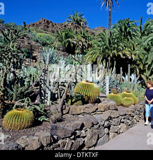 Jardin de cactus dans Palmitos Park Banque D'Images