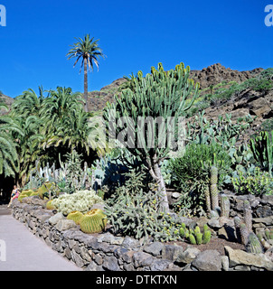 Jardin de cactus dans Palmitos Park Banque D'Images