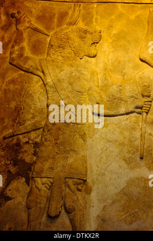 Wall Art assyrien au British Museum, Londres, Angleterre Banque D'Images