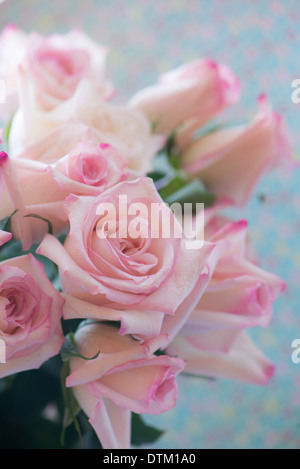 Un bouquet de roses rose pâle sur un fond aqua Banque D'Images