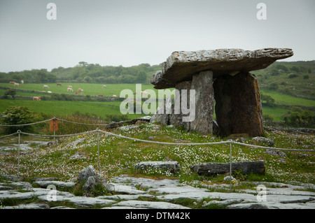 Dolmen de Poulnabrone dans le comté de Clare, Irlande Banque D'Images