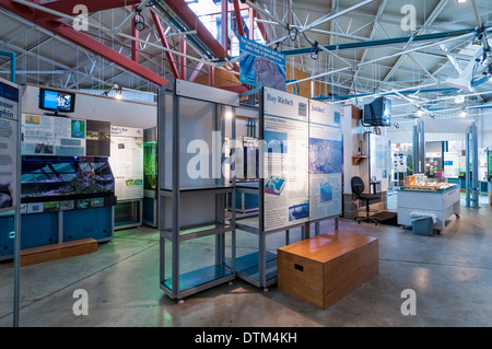 À l'intérieur de l'Estuarium, Dauphin Island, Alabama. Banque D'Images