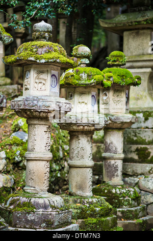 Nara, Japon. Lanternes japonaises à Kasuga-Taisha. Banque D'Images