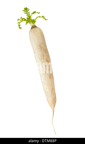 Ensemble de daikon isolated on white Banque D'Images