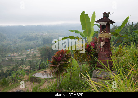 Un lieu de culte dans les rizières de Bali Banque D'Images