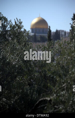 Jérusalem, Jérusalem, territoire palestinien. Feb 20, 2014. Une photo montre le Dôme du Rocher mosquée, troisième lieu saint de l'Islam, dans la vieille ville de Jérusalem, le 20 février 2014 © Saeed Qaq/APA Images/ZUMAPRESS.com/Alamy Live News Banque D'Images