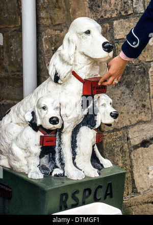 Les dons à la RSPCA les boîtes de collecte comme celle-ci dans les Cotswolds d'Angleterre aide support la Société royale pour la prévention de la cruauté envers les animaux. Banque D'Images