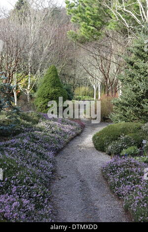 RHS garden Rosemoor à la fin de février 2014 Banque D'Images