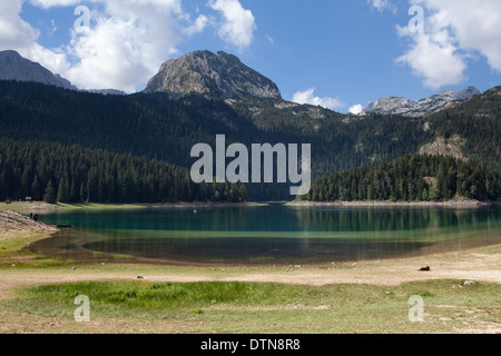 Black Lake, parc national de Durmitor, Monténégro Banque D'Images