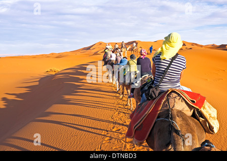 Caravanes de chameaux traversant les dunes de sable dans le désert du Sahara, le Maroc. Banque D'Images