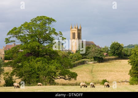 Des moutons paissant dans les champs ci-dessous St Michaels Church dans les Cotswolds village de Broadway, Worcestershire, Angleterre. Banque D'Images