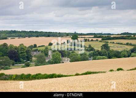 Rouler les champs agricoles entourant le village pittoresque Cotswolds de Swinbrook, Oxfordshire, Angleterre. Banque D'Images