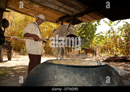 Un fermier panaméen fait bouillir du jus de canne à sucre dans sa petite ferme à El Rosario, près de Penonome, dans la province de Cocle, République du Panama, Amérique centrale. Banque D'Images