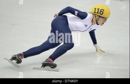 Sochi, Russie. 21 février 2014. Ellise Christie (GBR). 1000m - Femmes patinage courte piste de patinage Iceberg - Palace - Parc olympique - Sotchi - Russie - 21/02/2014 Credit : Sport en images/Alamy Live News Banque D'Images