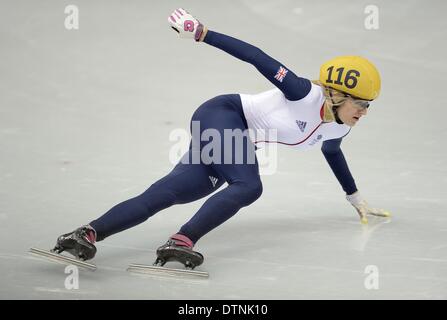 Sochi, Russie. 21 février 2014. Ellise Christie (GBR). 1000m - Femmes patinage courte piste de patinage Iceberg - Palace - Parc olympique - Sotchi - Russie - 21/02/2014 Credit : Sport en images/Alamy Live News Banque D'Images