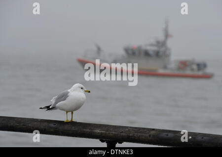 New York, USA. Feb 21, 2014. Un oiseau est vu dans le brouillard à New York, États-Unis, 10 févr. 21, 2014. Un brouillard dense couvert par la ville de New York vendredi après-midi, causant des retards dans les aéroports de départ et près de la ville. © Wang Lei/Xinhua/Alamy Live News Banque D'Images