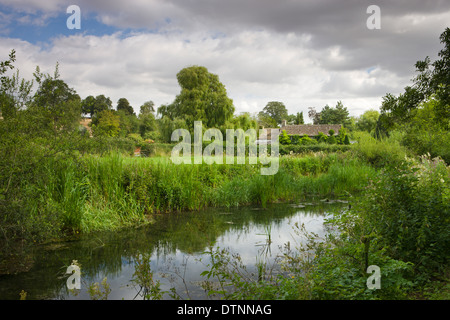 La rivière Leach qui traversent le village de Turville Eastleach Cotswolds, Gloucestershire, Angleterre. L'été (juillet) 2010. Banque D'Images
