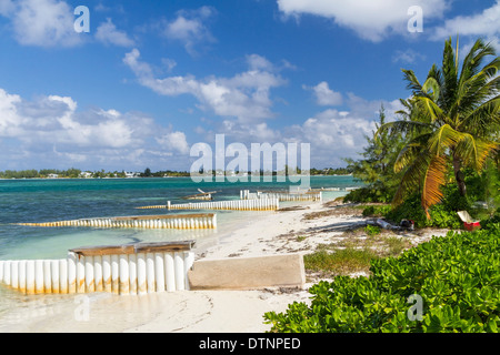 De pique-nique sous un palmier sur belles Starfish Point plage sur le côté nord de Grand Cayman, Cayman Island Banque D'Images