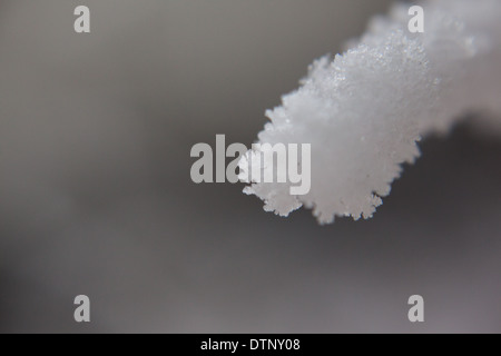 Macro close up de givre Banque D'Images