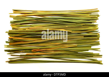 Les feuilles de verveine citronnelle séchée sur un fond blanc Banque D'Images