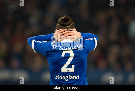 Gelsenkirchen, Allemagne. Feb 21, 2014. Tim Hoogland Schalke réagit au cours de la Bundesliga match de football entre le FC Schalke 04 FSV Mainz 05 et à la Veltins Arena de Gelsenkirchen, Allemagne, 21 février 2014. Photo : BERND THISSEN/dpa/Alamy Live News Banque D'Images