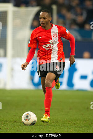 Gelsenkirchen, Allemagne. Feb 21, 2014. Mainz' Diaz Junior passe le ballon au cours de la Bundesliga football match entre le FC Schalke 04 FSV Mainz 05 et à la Veltins Arena de Gelsenkirchen, Allemagne, 21 février 2014. Photo : BERND THISSEN/dpa/Alamy Live News Banque D'Images