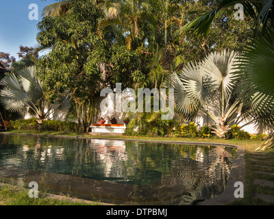 L'Inde, Goa, Siolim House, hôtel de l'époque coloniale portugaise, une piscine entourée de palmiers verts Banque D'Images