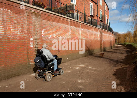 Shrewsbury, Shropshire, au Royaume-Uni. Samedi 22 février 2014. Un homme prend son chien pour une promenade le long du sentier boueux à côté de la rivière Severn. C'est la première fois que le sentier est accessible puisqu'il a été récemment inondé. Le plus haut niveau de l'eau durant l'inondation est indiqué par le bas de la tache blanche sur le mur. Malgré les sévères averses en février, l'excellente défense de Shrewsbury en sorte que beaucoup de foyers et d'entreprises ne sont pas inondées. Crédit : Richard Franklin/Alamy Live News Banque D'Images