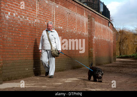 Shrewsbury, Shropshire, au Royaume-Uni. Samedi 22 février 2014. Une dame avec son chien promenades le long du sentier boueux à côté de la rivière Severn. C'est la première fois que le sentier est accessible puisqu'il a été inondé au début de février. Le plus haut niveau de l'eau durant l'inondation est indiqué par le haut de la tête au niveau du patch humide le long du mur. Malgré les sévères averses en février, l'excellente défense de Shrewsbury en sorte que beaucoup de foyers et d'entreprises ne sont pas inondées. Crédit : Richard Franklin/Alamy Live News Banque D'Images