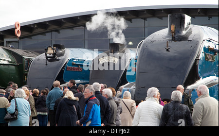 Les amateurs de vapeur se sont réunis au Musée National du chemin de fer à Shildon, Angleterre. Banque D'Images