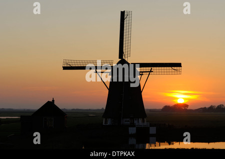 Moulin de Bol, près de l'Oost, île de Texel, Pays-Bas Banque D'Images