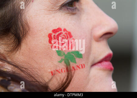 Twickenham, Royaume-Uni. 22 février 2014. Un ventilateur avec une rose rouge peint sur sa joue. Des fans anglais et irlandais se rassemblent dans leurs couleurs nationales traditionnelles de l'avant du rugby 6 nations match entre l'Angleterre et l'Irlande à Twickenham Crédit : amer ghazzal/Alamy Live News Banque D'Images