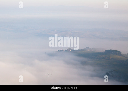 Matin brouillard dans la vallée au-dessous de Montepulciano, Toscane, Italie. Crédit obligatoire Jo Whitworth Banque D'Images