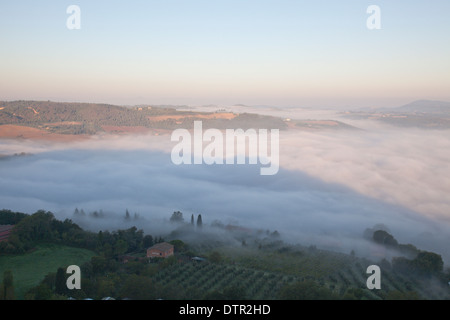 Brume matinale sur les pentes en dessous de Montepulciano, Toscane, Italie. Crédit obligatoire Jo Whitworth Banque D'Images