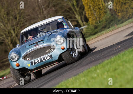 Stoneleigh Park, Coventry, Royaume-Uni. Feb 22, 2014. Retro course à étapes Live rally Stoneleigh Park B classe classique de voitures de rallye Ford,Audi,Ferrari,MG et divers autres fabricants Crédit : Steven re/Alamy Live News Banque D'Images