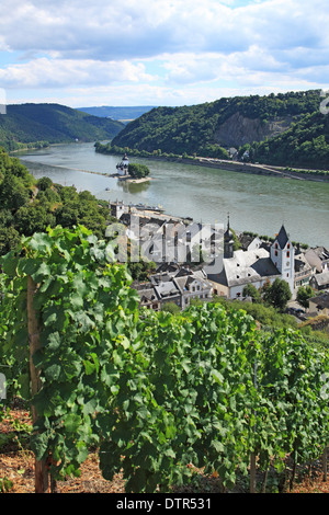 Allemagne, Rhénanie-Palatinat, vallée du Rhin, Kaub, Château Pfalzgrafenstein, UNESCO World Heritage Banque D'Images