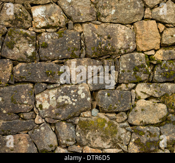 Le vieux mur de pierre recouvert d'une mousse, abstract background Banque D'Images