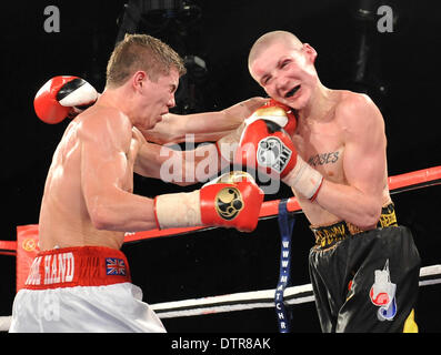 Hull, Royaume-Uni. Feb 22, 2014. Combats de boxe Matchroom soirée de la fierté de la Hull Ice Arena. Luke Campbell contre Scott Moises. Campbell arrêté Moises dans le 6e tour. Credit : Action Plus Sport/Alamy Live News Banque D'Images