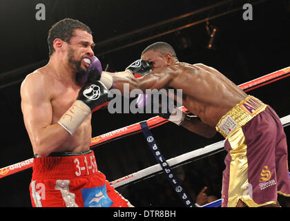 Hull, Royaume-Uni. Feb 22, 2014. Combats de boxe Matchroom soirée de la fierté de la Hull Ice Arena. Darren Hamilton versus Curtis Woodhouse pour le super-légers britannique intitulé. Woodhouse a gagné le combat mais comme prévu, a pris sa retraite de la boxe immédiatement après la victoire. Credit : Action Plus Sport/Alamy Live News Banque D'Images