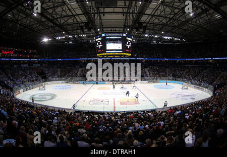 Hambourg, Allemagne. Feb 23, 2014. Le DEL match de hockey sur glace entre Hambourg Freezers et Adler Mannheim au monde 02 à Hambourg, Allemagne, 23 février 2014. Photo : AXEL HEIMKEN/dpa/Alamy Live News Banque D'Images