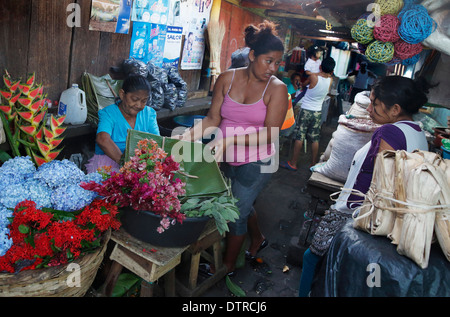 Marchande de fleurs, marché municipal, Granada, Nicaragua Banque D'Images