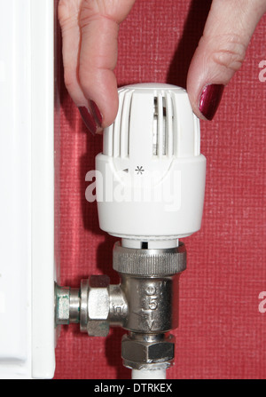 Femme tournant/radiateur Thermostatique Vanne/ haut/bas sur le système de chauffage central dans la maison, England, UK Banque D'Images