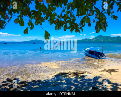 Mangrove à l'île de Bunaken à Sulawesi, Indonésie Banque D'Images