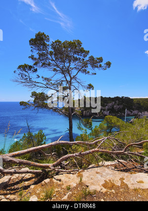 Cala Macarella à Minorque, Îles Baléares, Espagne Banque D'Images