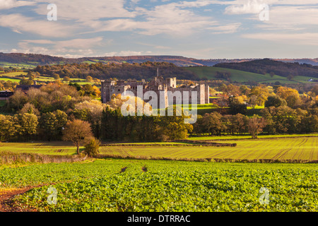 Château de Raglan Monmouthshire Wales U.K. Banque D'Images