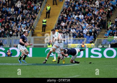 Rome, Italie. Feb 22, 2014. 22 Feb, 2014. match entre l'Italie contre l'Ecosse valide pour le championnat de Six Nations 2014 au Stadio Olimpico à Rome, Italie. (Photo par Vincenzo Artiano NurPhoto Artiano / © Vincenzo/NurPhoto ZUMAPRESS.com/Alamy/Live News Banque D'Images