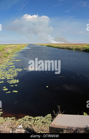 Un canal près du lac Okeechobee, en Floride. Banque D'Images