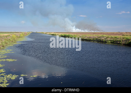 Un canal près du lac Okeechobee, en Floride. Banque D'Images